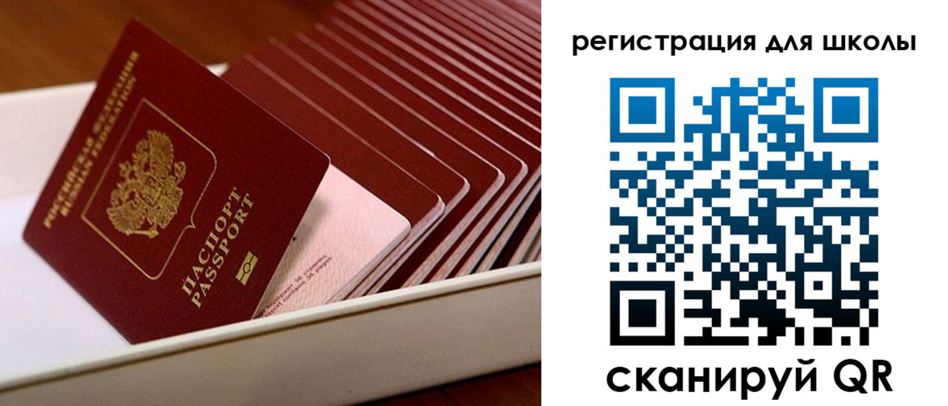прописка гарантия в Мариинском Посаде
